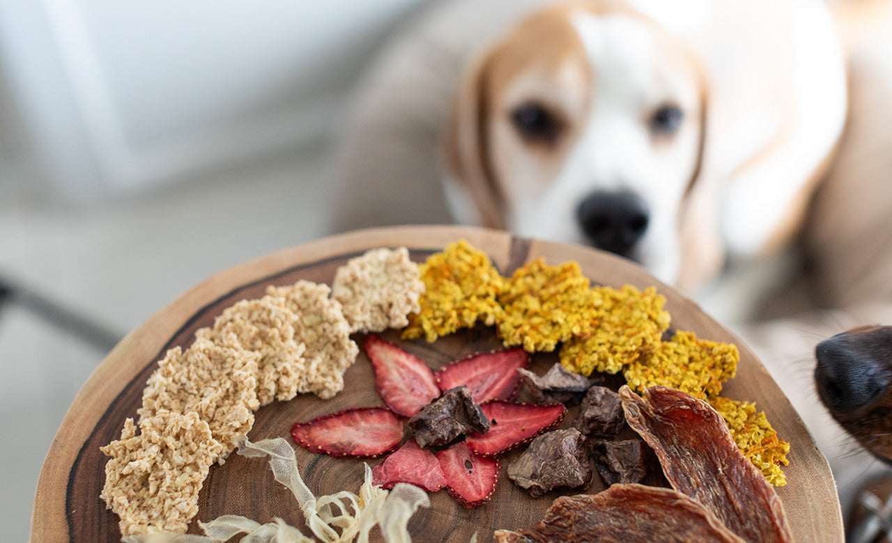 Front view of halloween barkuterie board dog treats variety package