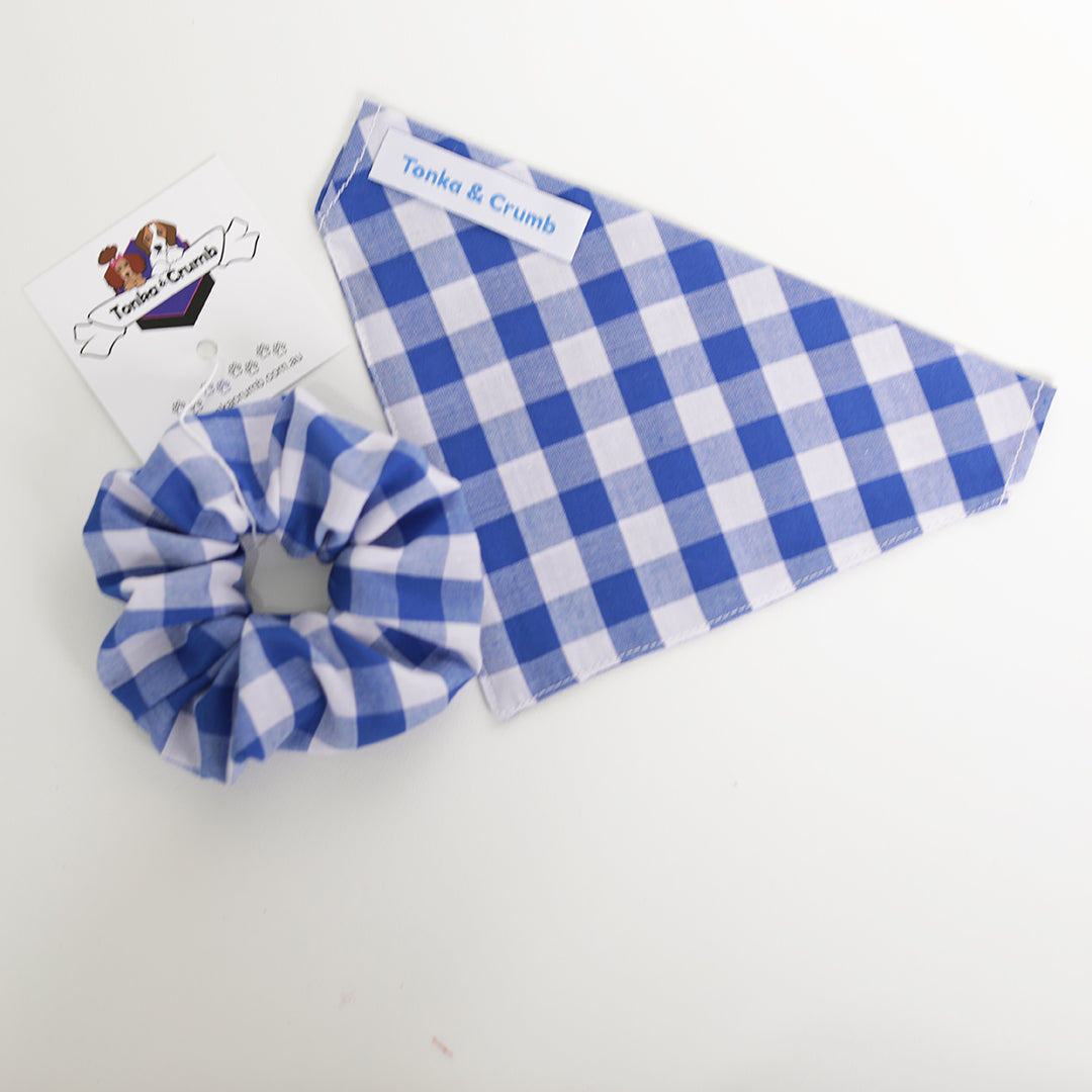 Blue gingham scrunchie with matching pet bandana