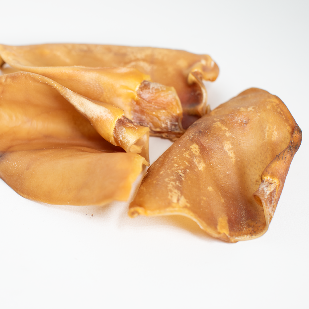 Side view dehydrated pig ears