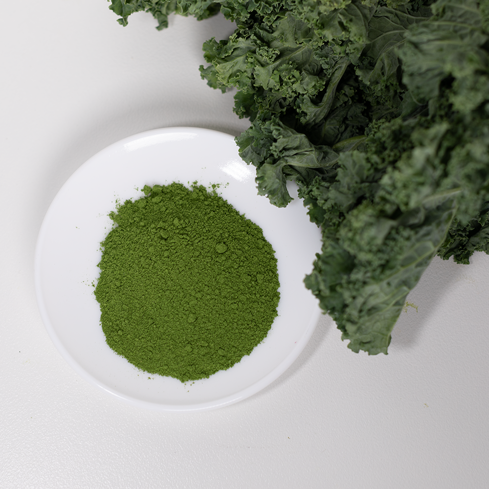 Kale powder for dogs