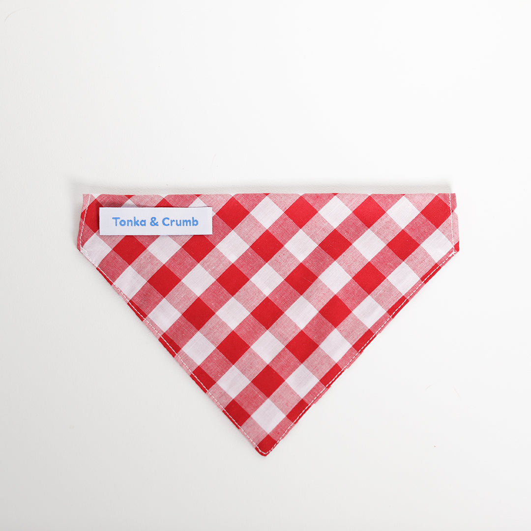 Red gingham dog bandana