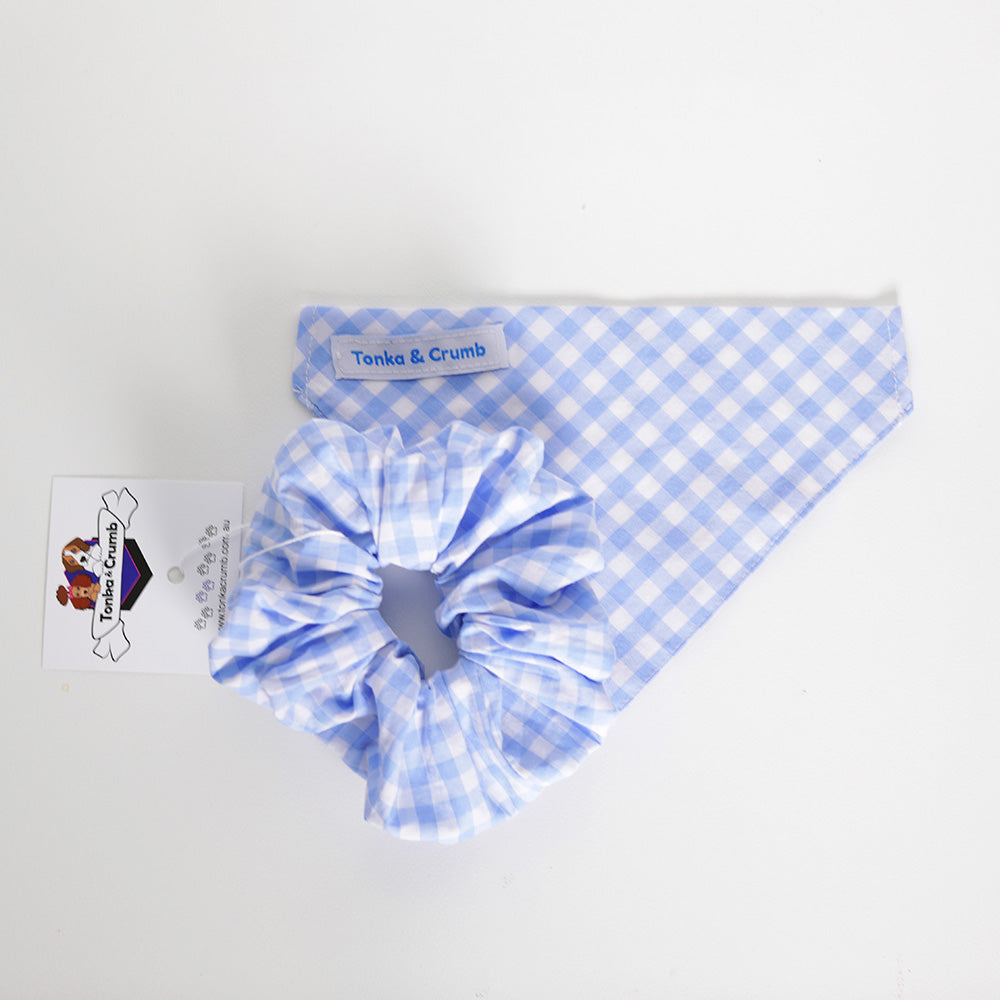 Baby blue gingham dog bandana with scrunchie