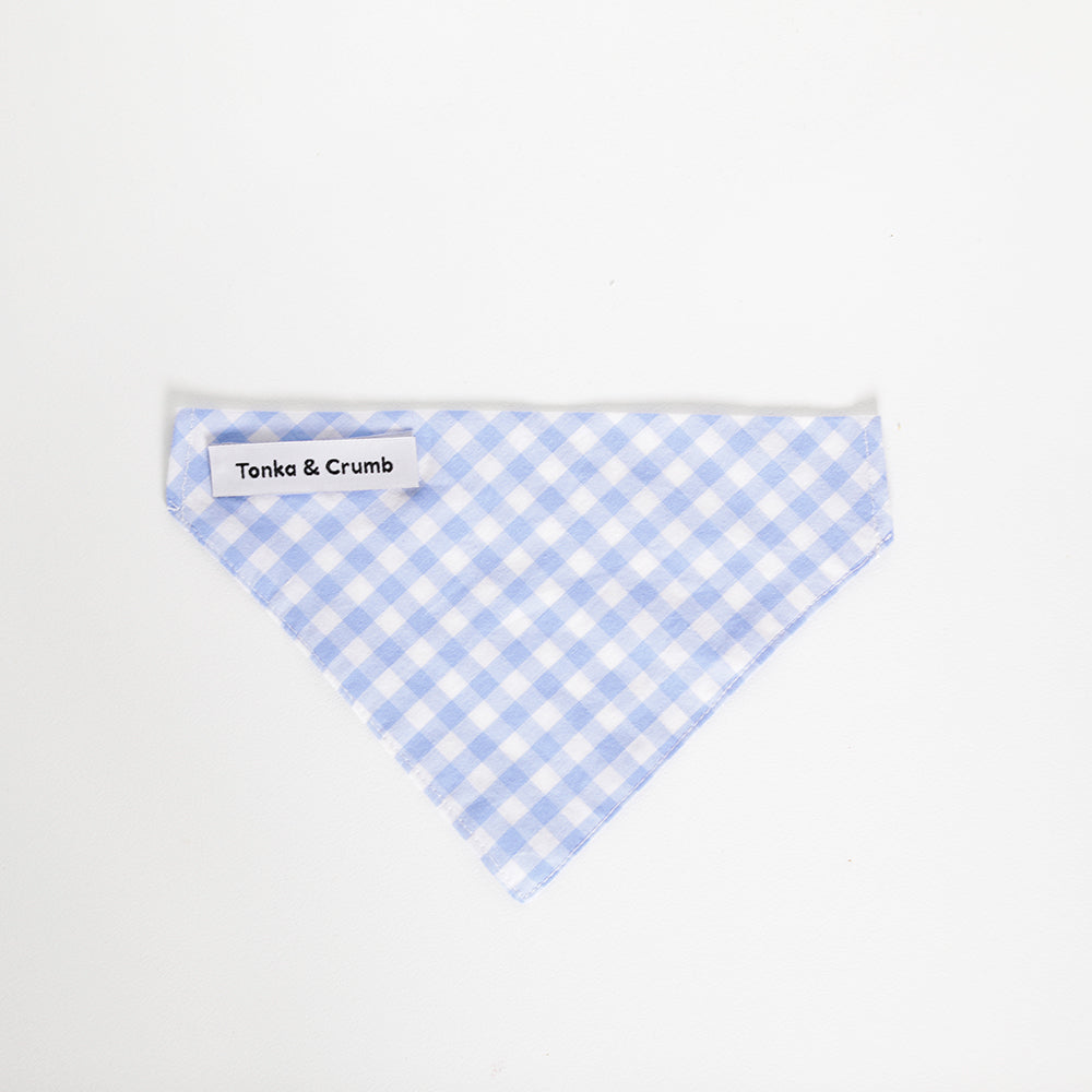 Baby blue gingham pet bandana