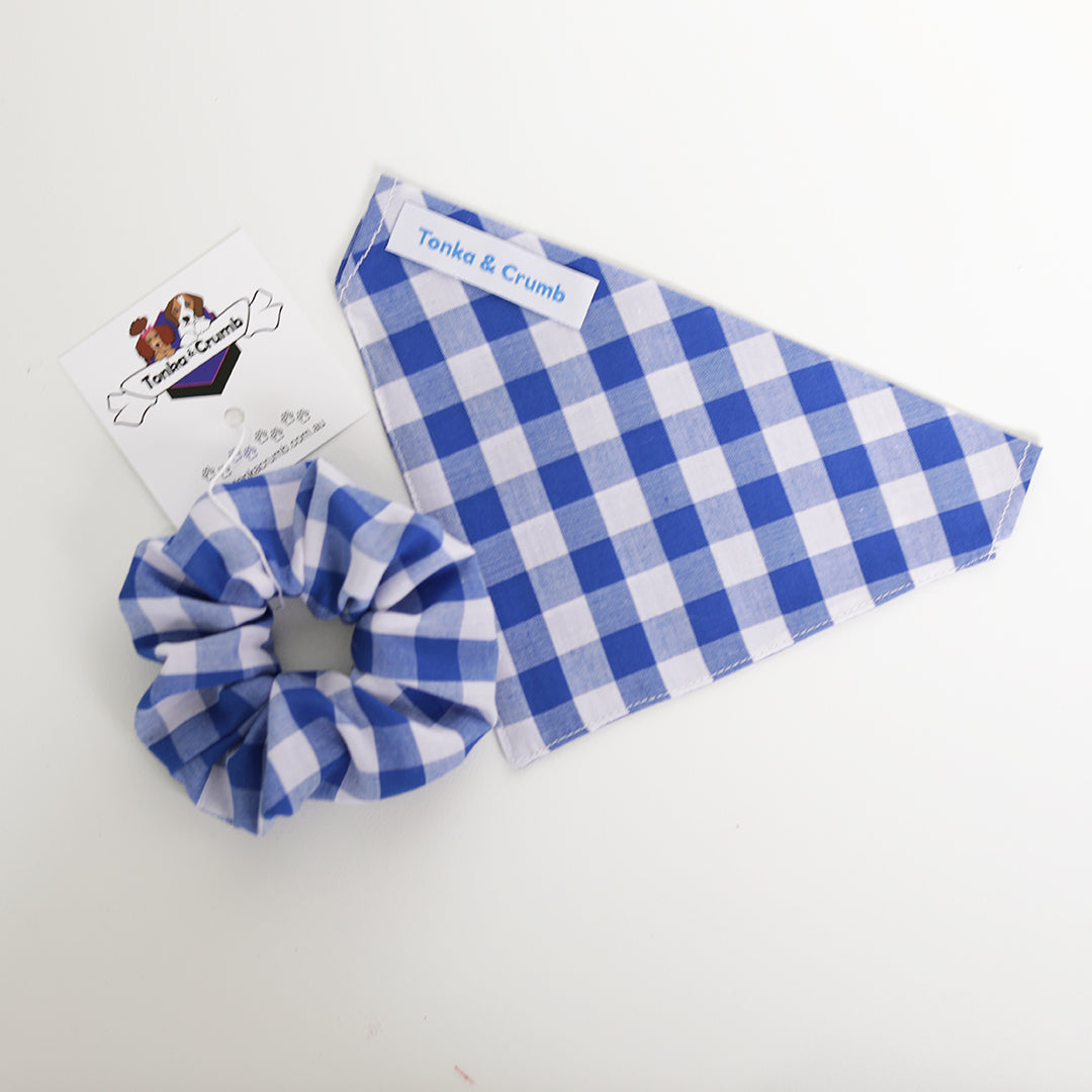 Pet bandana in blue gingham with scrunchie