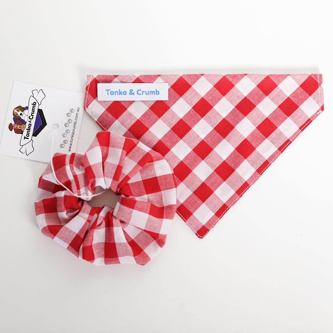 Red gingham pet bandana with matching scrunchie