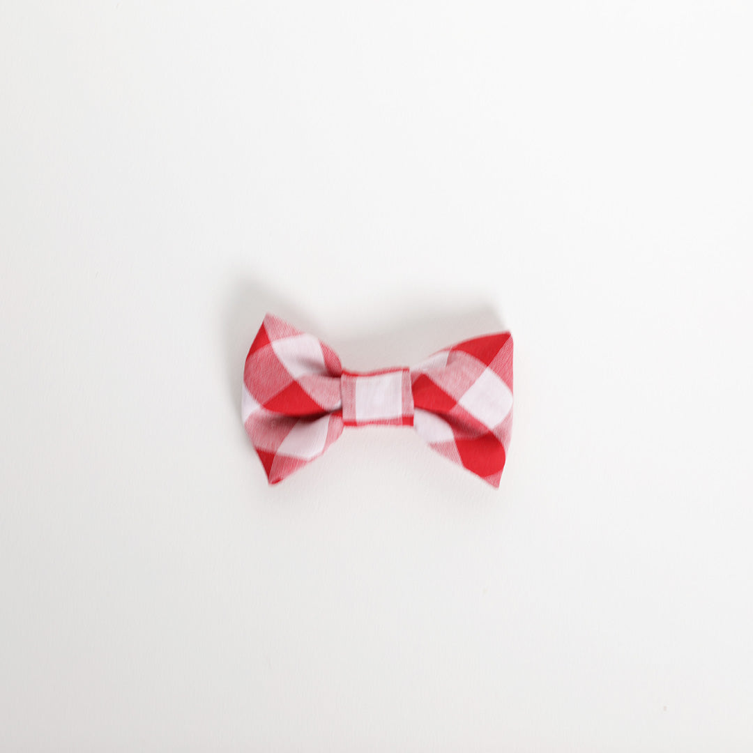 Red gingham dog bow tie