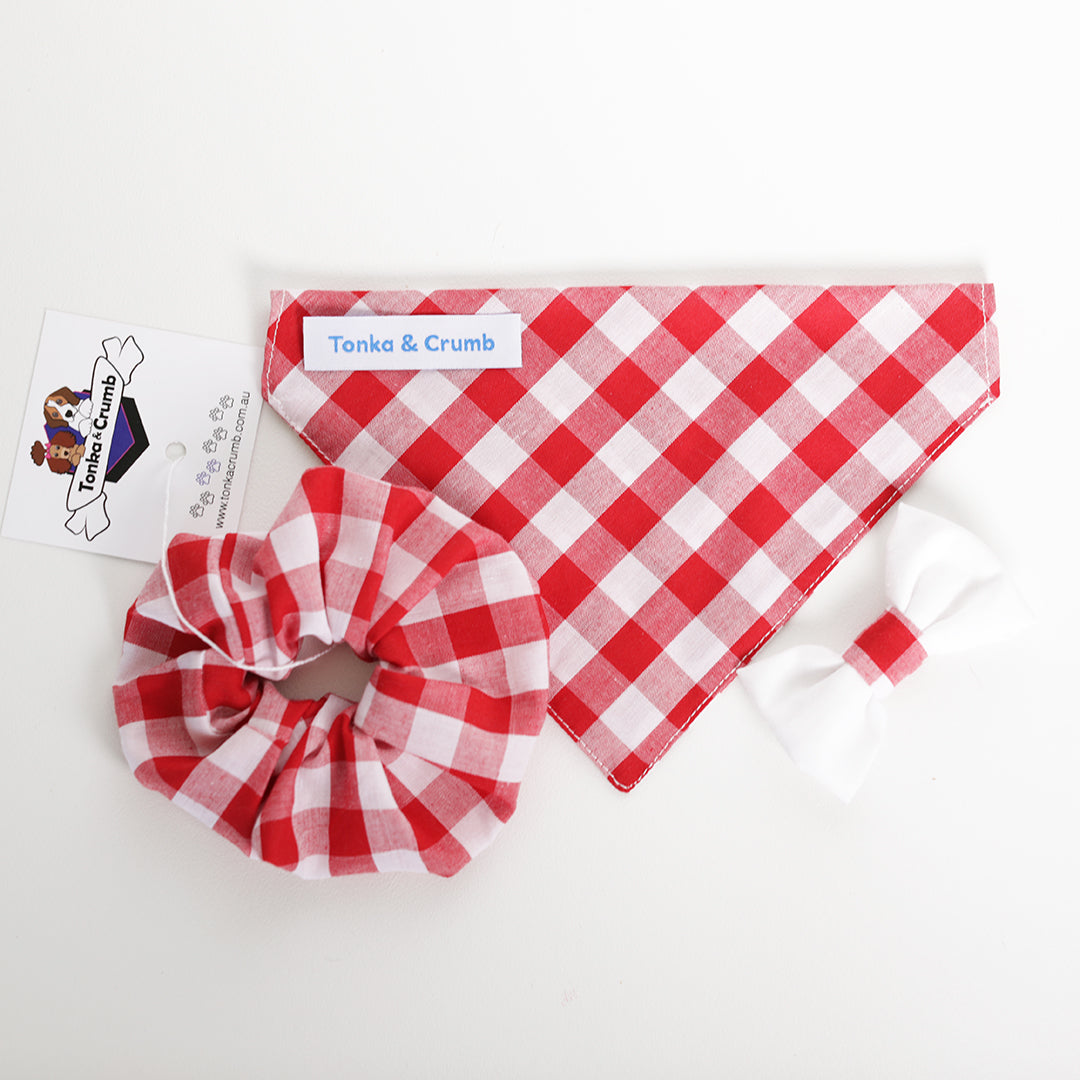 Red gingham scrunchie with bowtie and dog bandana