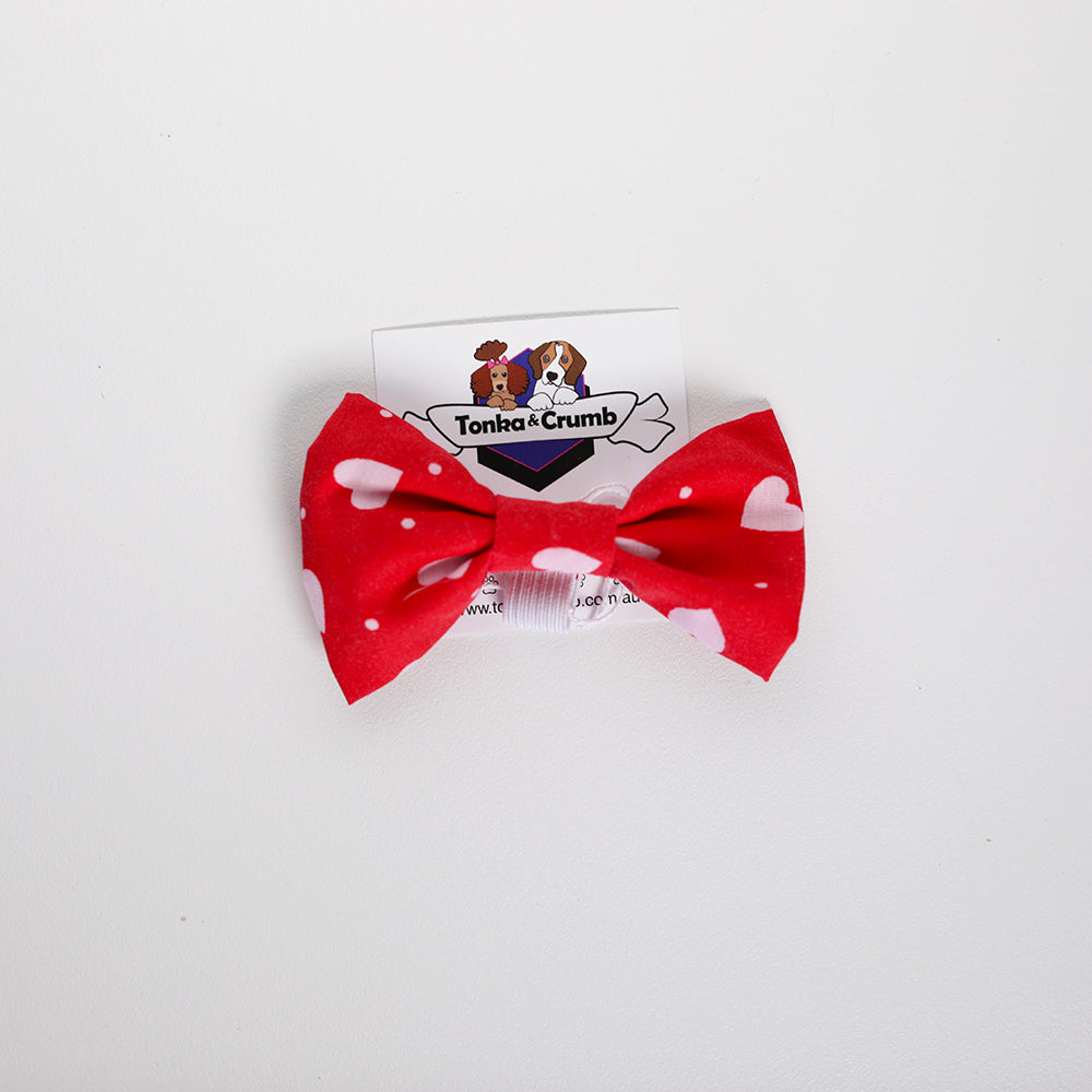 Dog bow tie for valentine's day