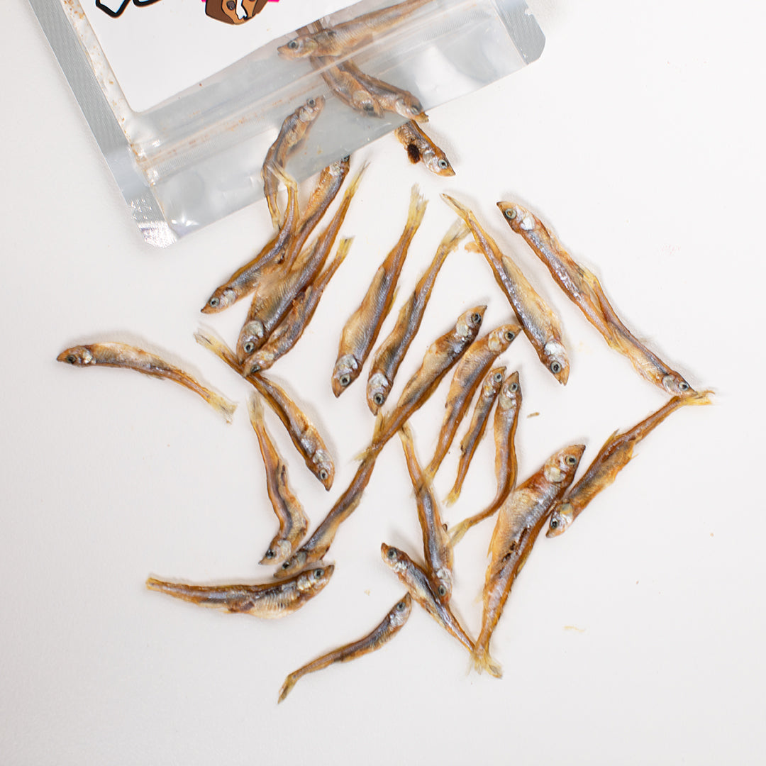 Whitebait whole fish for dogs