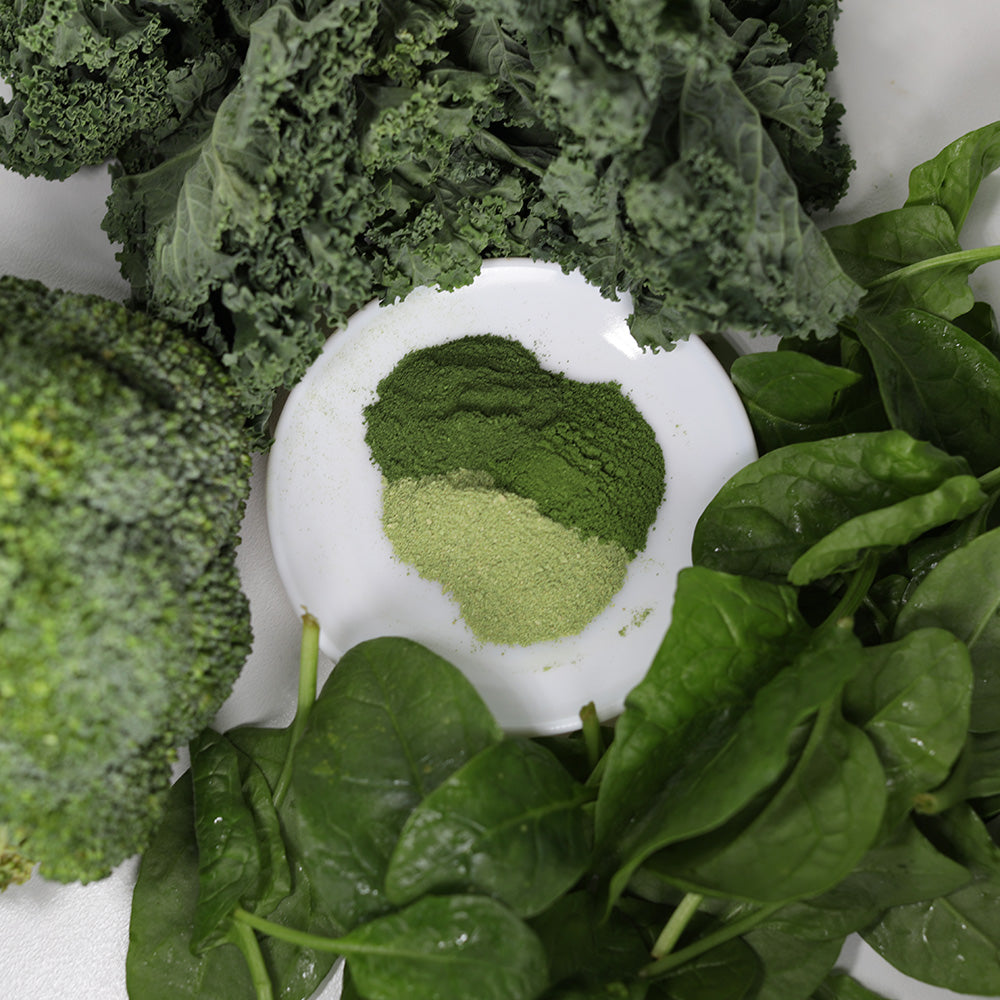 Top view of mixed super green powder with fresh vegetables for dog meal topper and dog treat ideas